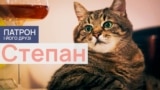 Dogs_Thumbs_11_Stepan_PF