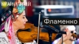 DL_Flamenko_PF