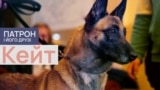 Dogs_Thumbs_01_Keyt_PF