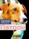 DOGS_PATRON_PORT