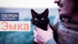 DOGS_THUMBS_10_EMKA