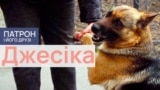 Dogs_Thumbs_05_Jesyka_PF